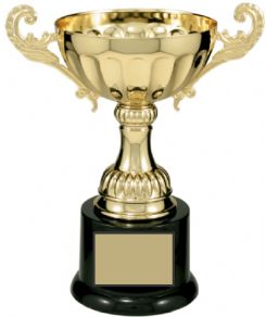Semifly Cup Trophy