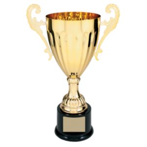 Superfly Cup Trophy