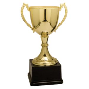 Zinc Cup Trophy